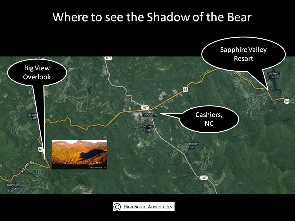 shadow of the bear